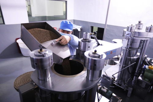 鄉(xiāng)村振興看重慶丨科技助力彭水紫蘇產(chǎn)業(yè)高質(zhì)量發(fā)展