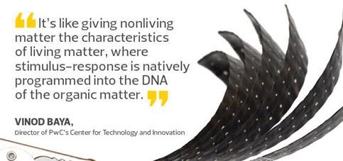 【葉子形狀】葉子形狀價(jià)格_葉子形狀批發(fā)_葉子形狀廠家